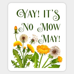 Yay It's No Mow May Protect Bees Pollinator Habitats and Biodiversity Sticker